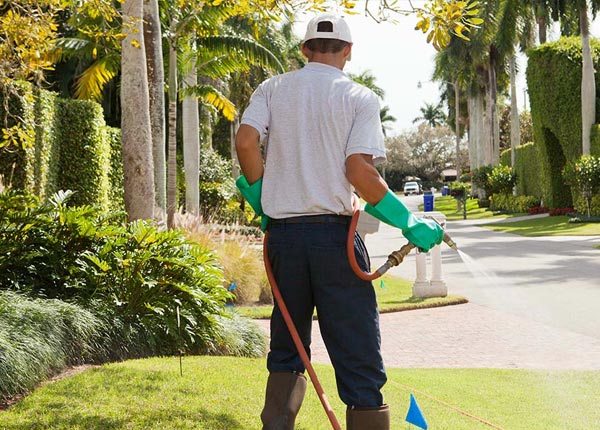 About Golden TX Pest Control